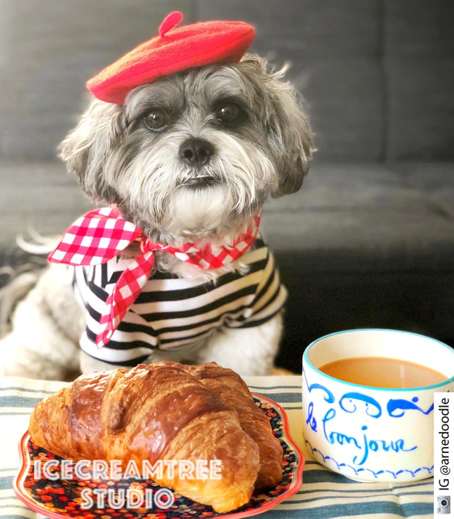 Black Beret Hat - Pet Petite Hat