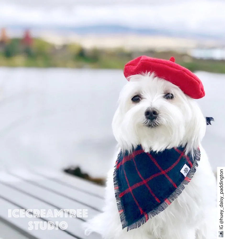 Dog Cat Mom and Me Beret Hats - Matching Beret Sets