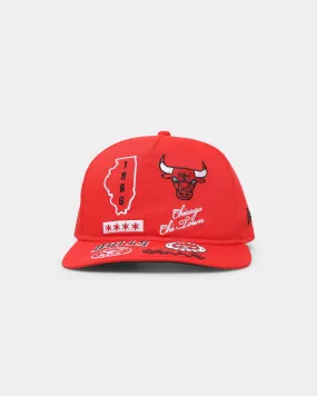 New Era Chicago Bulls 'Team Multi Logo' Old Golfer Snapback Team/Multi