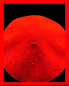 Red Tiffany beret